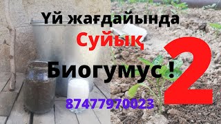 Суйық Биогумус уй жағдайында 2 ші видео. Қалай пайдалану!