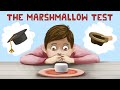 Understanding the Stanford Marshmallow Test