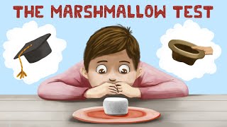 The Marshmallow Test (Stanford Experiment + Truth) by Practical Psychology 1 year ago 7 minutes, 15 seconds 63,434 views