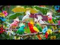 🌺 Fresh Birdsong and Soft Piano Melodies 🎹 Serene Background Music for Study and Deep Calm 🐦