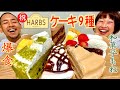 【チートデイ】 HARBSケーキ&和菓子を爆食！最高の一日を10,000kcal超でお祝い！【大食い】