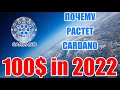 ADA CARDANO МОЖЕТ ЗАМЕНИТЬ ETHEREUM ETH. РЕАЛЬНАЯ УГРОЗА ДЛЯ ЭФИРИУМА!