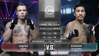 картинка: IPFC 5 Андрей Елин vs ВогаонТирават  (полный бой)