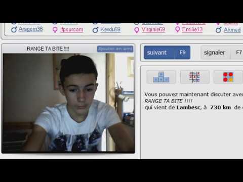 UNE CHATTE PROCHE DE TA REGION ?! - BAZOOCAM