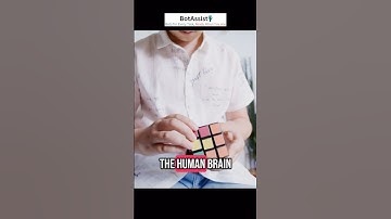 Human Brain Makes 35,000 Decisions a Day