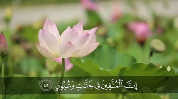 "إنَّ المُتَّقِينَ في جنَّاتٍ وعُيُونٍ * ادخُلُوهَا بسلَامٍ آمِنِينَ" تلاوة رائعة للقارئ رعد الكردي