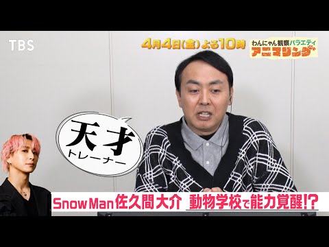 Snow Man 佐久間大介&なにわ男子 道枝駿佑が潜入アニマリング『アニマ