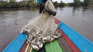 CUMA DUA KALI MELEMPAR JALA DAPATNYA SUDAH SEBANYAK INI