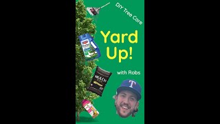 DIY Tree Care Guide