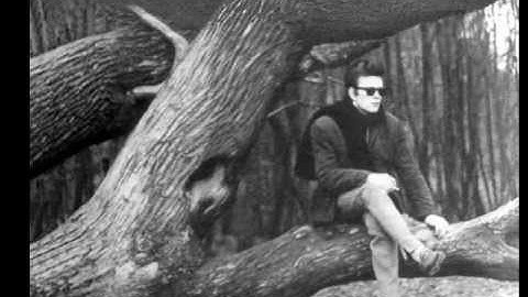 Love Me Tender - Stuart Sutcliffe