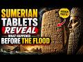 Sumerian Civilization: What Their Records Actually Prove