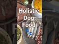 The ultimate raw pack fuel! 🥩🐟✨ Nutritious, vibrant, and delicious! 🐕🥣​#holisticdogfood #rawfeeding