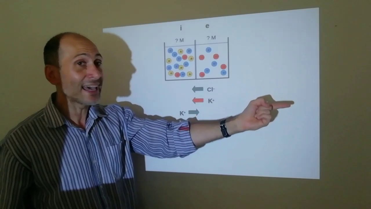 Bioelectricidad. Parte 3: Equilibrio Donnan