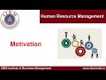 IIBM Institute | Human Resource Management | Motivation