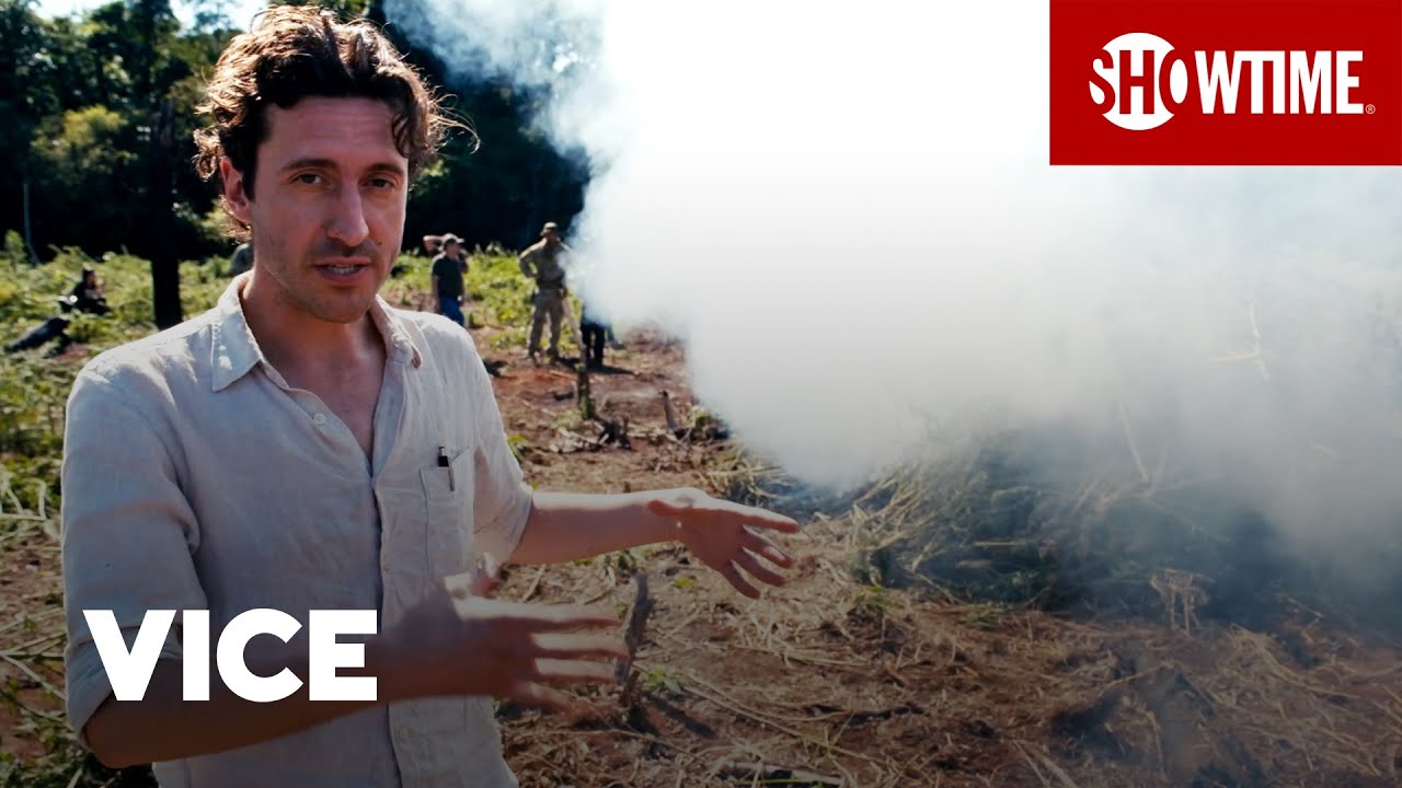 Film backdrop image for Police Are Chopping Down Marijuana Plants to Stop Drug Trafficking in Paraguay (2020)