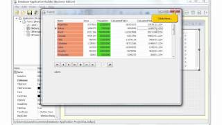 Celebrity RadBuilder (Database Application Builder) Part 2 of 3 - How to create database applications Wealth