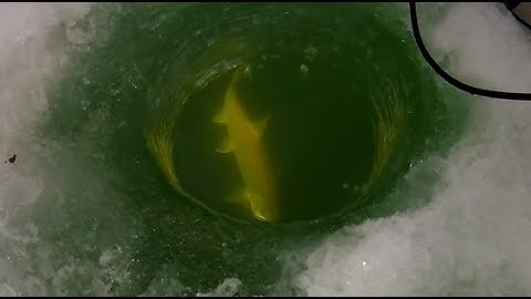 ICE FISHING LAKE TROUT! (EPIC DAY) BIG GREEN LAKE WISCONSIN