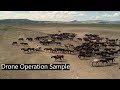 Cinematic Drone Film | Canadian Horse Farm & Sports Club