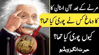 How Einstein&#39;s brain was stolen | Tragic story | آئن اسٹائن کا دماغ کیسے چوری ہوا