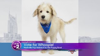 Puppy Bowl: Whoopie To Represent Music City