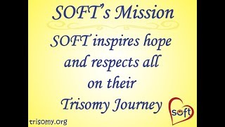 SOFT’s Mission and Values screenshot 3