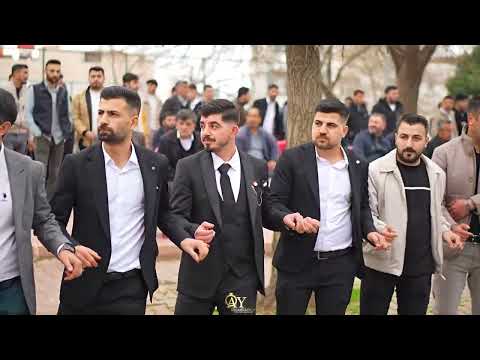 FERHAT GÜZEL EKİBİ / BEYDEMİR AİLESİNİN DÜĞÜNÜ / AY ORGANİZASYON 2026