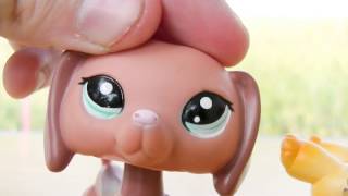 This Is Lpstube - Fail Bloopers