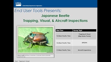 Japanese Beetle Data Collection using ArcGIS Field Maps and Survey123 (JB)