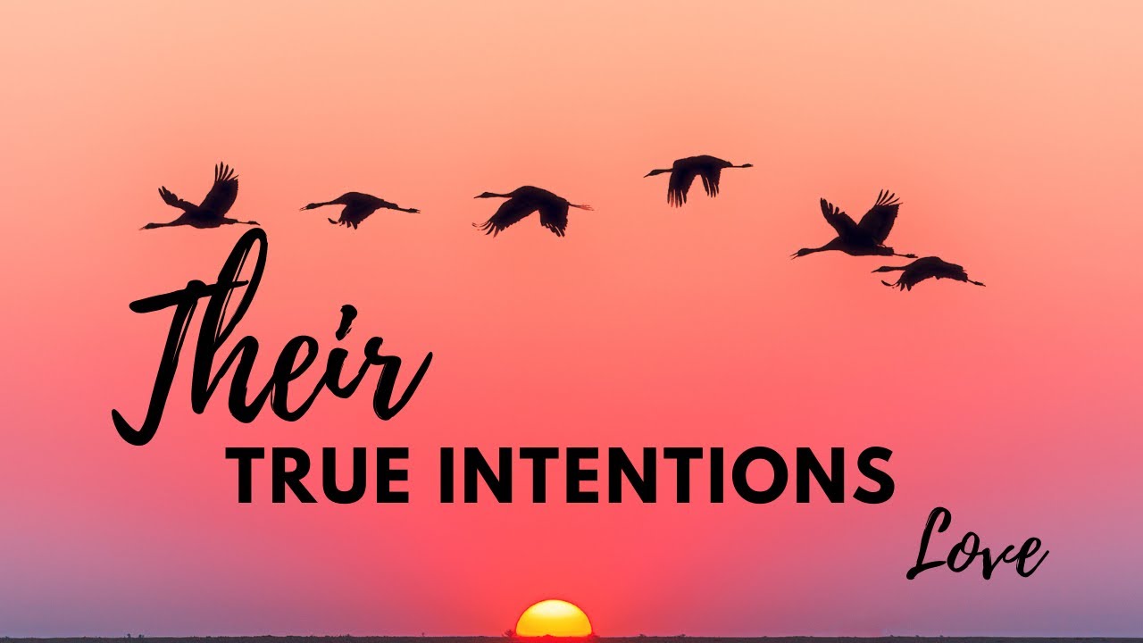 SAGITTARIUS~They're Going To Message You ~They Want You Back ! They Never Stopped Loving You March