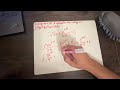 Calculus Final Project Integrals #1