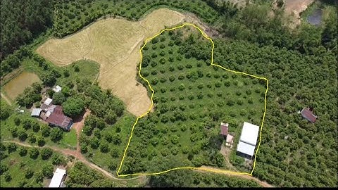 Bán nhà vườn 5900m2 ở định quán Đồng nai có thổ cư giá 3ty5.