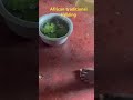 African Traditional Medicine