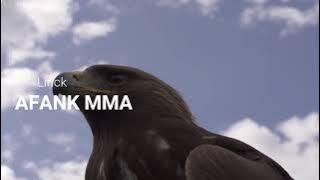 Lagu MARS RGPI ( RAJAWALI GARDA PEMUDA INDONESIA )