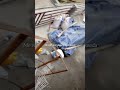 róu_ruān In her unstoppable(unstable) era~ #róuruānito#memes#viral #trending #ytshorts#funny#shorts