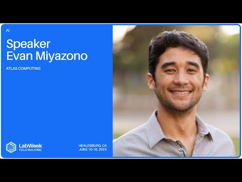 Trustworthy AI Through Domain-Specific Formal Oversight