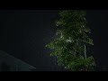 Under the Midnight Rainfall