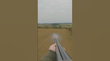 How To Shoot A Bolting Rabbit | 12 Gauge Side by Side