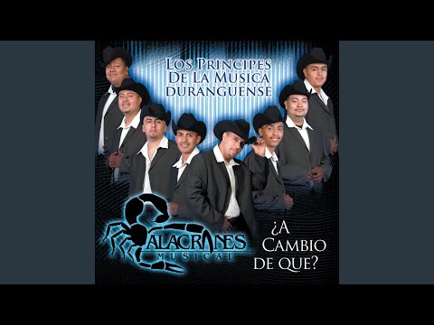 Putar No Lastimes Más - Alacranes Musical