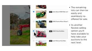 Webtron Online Auction Software Choice explained
