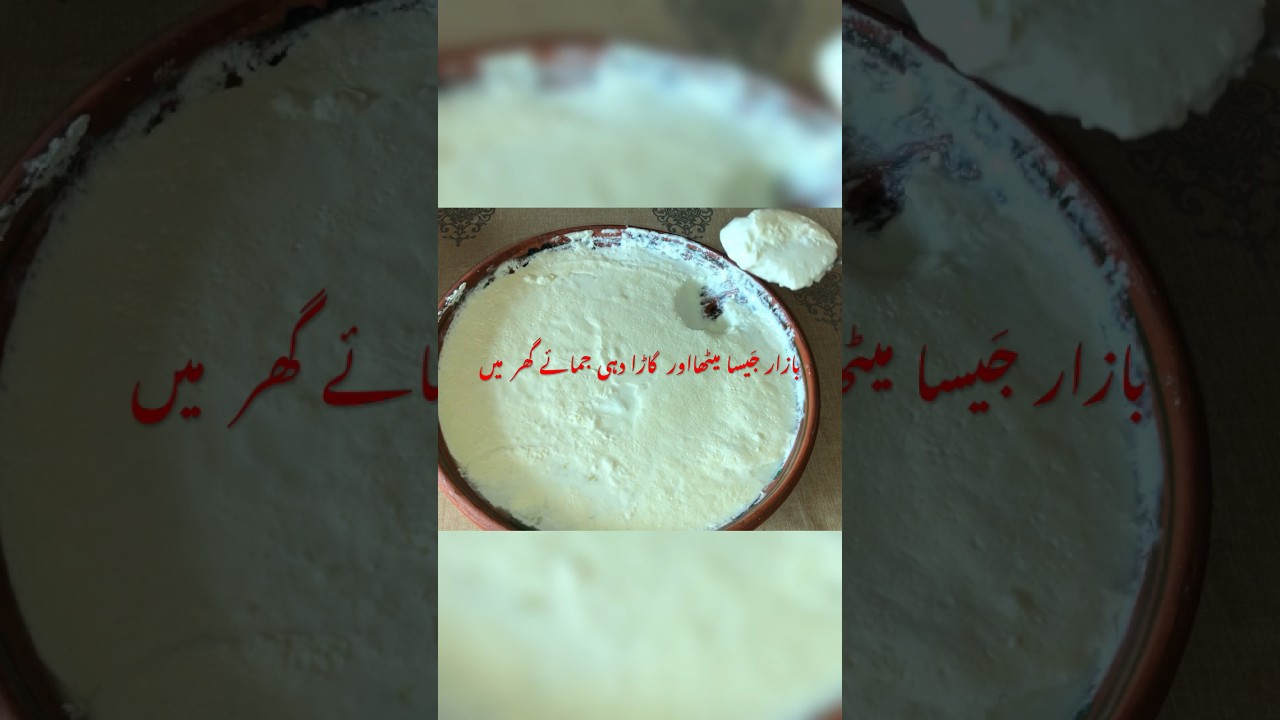 Dahi jamanay ka sahi tarika | Meetha or garha dahi banany ka tarika