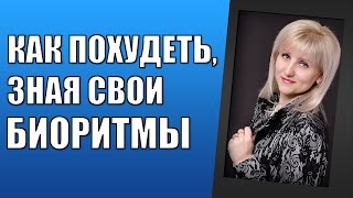 Как похудеть, зная суточные биоритмы органов?