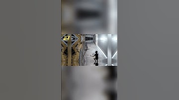 Điểm Tin 28/11: Mailisa Bị Thu 100 Sổ Đỏ, 300 Lượng Vàng, 12 Siêu Xe/ Nhức Nhối Nạn Trộm Chó, Mèo