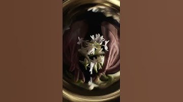 Thumbnail of DIOR   jadore