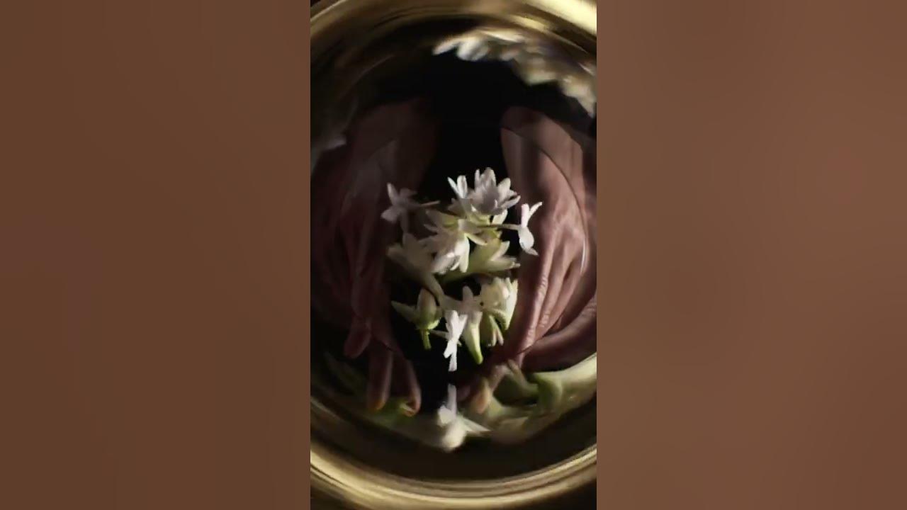 DIOR jadore DIOR jadore
