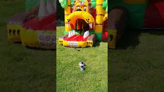 MULTIPLAY XL JUNGLE