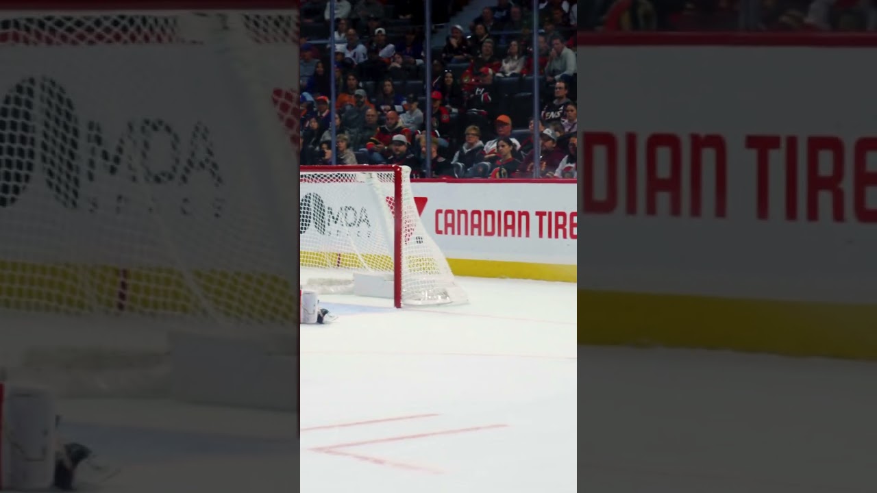 MACCELLI! 🚨