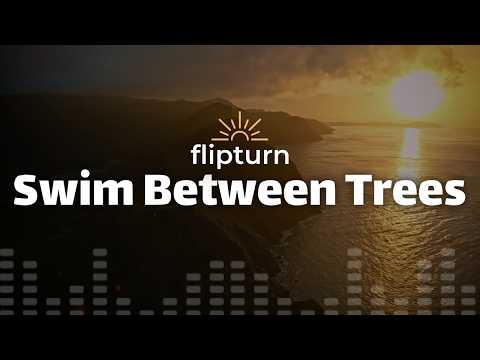 flipturn – Swim Between Trees (Lyrics)