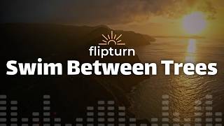 flipturn – Swim Between Trees (Lyrics)