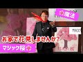 【お家で花見しませんか？マジック桜