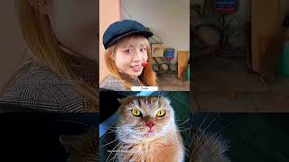Try Not to Laugh Challenge 476 #cat #funny #viral #reaction